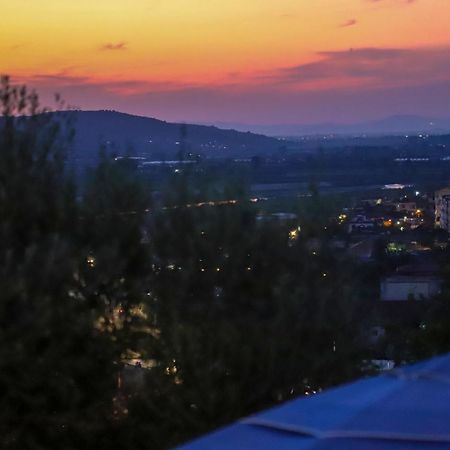 Bujtina Musta Pensionat Berat Exteriör bild